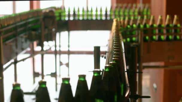 Garrafas de cerveja na linha de produção da fábrica de cervejarias. Garrafas na correia transportadora
 - Filmagem, Vídeo