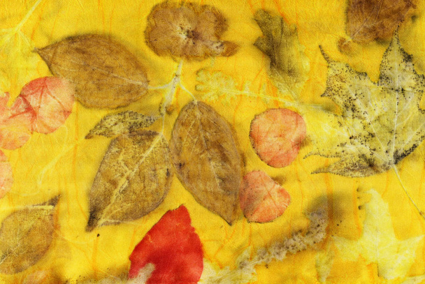 Botanical print with leaf prints on natural silk. Hand-drawn illustration. - Photo, Image