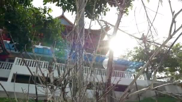 Egy fa ága áttűző nap reggel. Lencse fényfolt jön létre, a kamera mozgását körül fa ágai. A háttérben látható egy hagyományos kínai buddhista templom. - Felvétel, videó