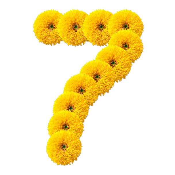 decimal cipher of flowers - Photo, image