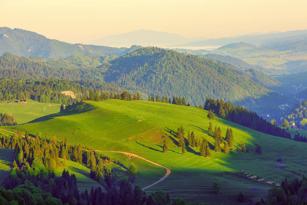 spring in the Pieniny Mountains in southern Poland - Photo, Image