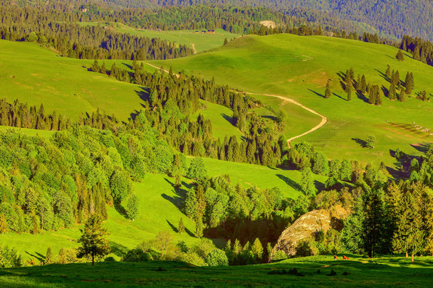 spring in the Pieniny Mountains in southern Poland - Photo, Image
