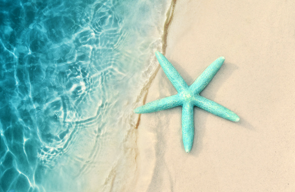 Starfish on the sand beach and sea as background. Summer sandy beach. - Photo, Image