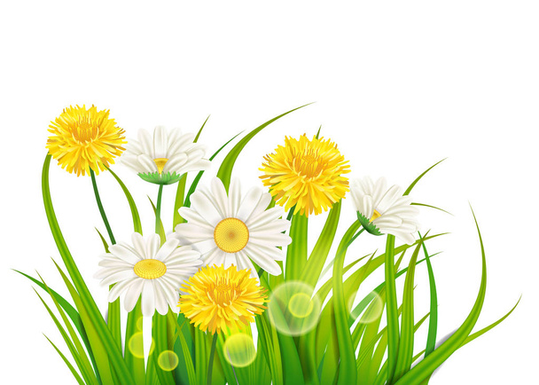 Fresh spring juicy chamomile and dandelions flowers and green grass, vector, template, illustration, isolated - Vektor, Bild