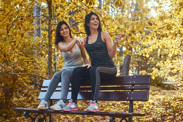Two beautiful girls wearing sportswear sitting on a bench in the autumn park  - Fotografie, Obrázek