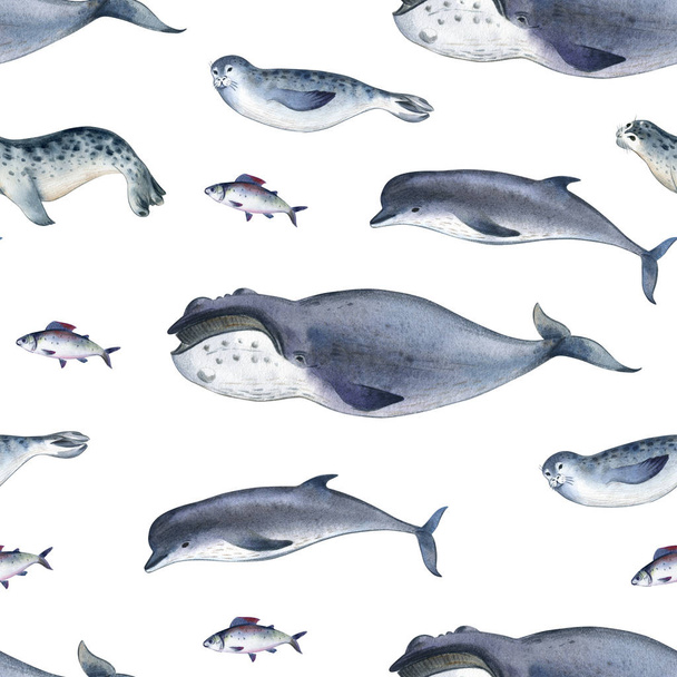 海の生物相についてシームレスな水彩画のパターン。海洋動物。灰色のイルカ、クジラ、魚、白い背景の上のシール - 写真・画像