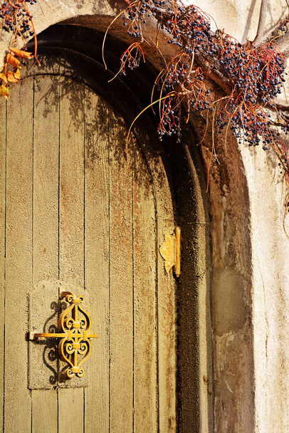 Detail středomořské dům s dřevěnými dveřmi a ošlehané suché liána rostlina - Fotografie, Obrázek