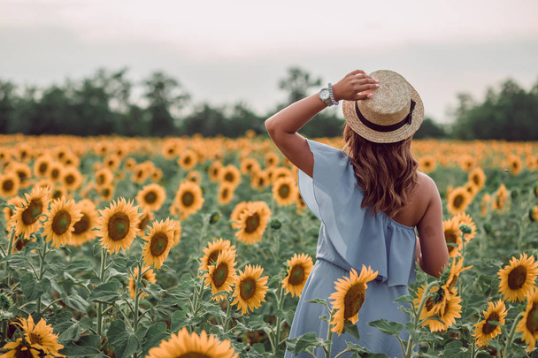 Dreaming young woman in blue dress and hat walking away in a field of sunflowers at summer, view from her back. Holding a hat with a hand. copy space - Photo, Image