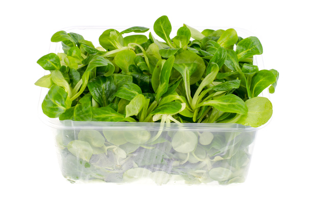 Кукурудзяний салат залишає свіжий зелений колір в упаковці. Студія Фото
 - Фото, зображення