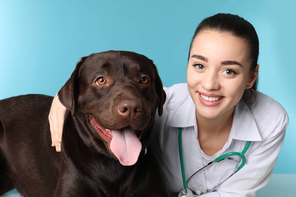 Veterinarian doc with dog on color background - Φωτογραφία, εικόνα