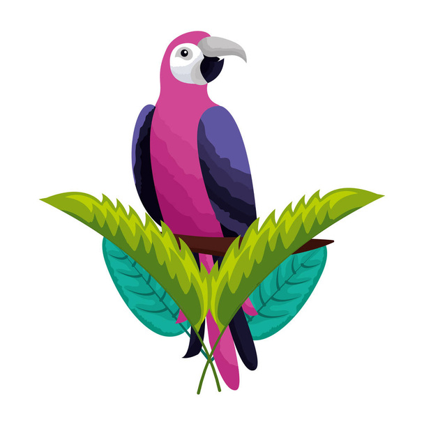 exotic parrot bird leaves tropical - Vector, Image