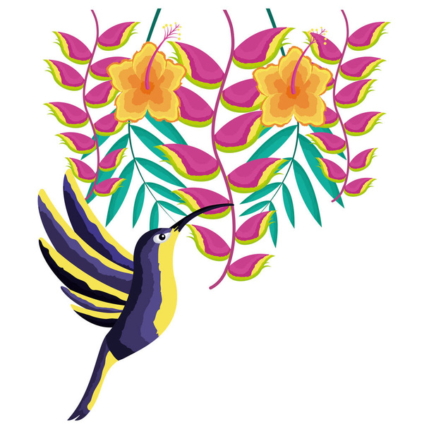 sinek kuşu kuş çiçekler tropikal - Vektör, Görsel