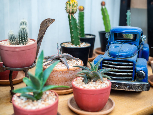 Πράσινο κάκτος φυτά σε γλάστρες και μπλε φορτηγό παιχνίδι διακόσμηση στο ξύλινο τραπέζι - Φωτογραφία, εικόνα
