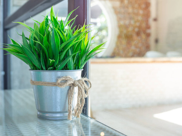 grüne Pflanze in Zinktopfdekoration auf Glastisch im Restaurant mit Kopierraum. - Foto, Bild