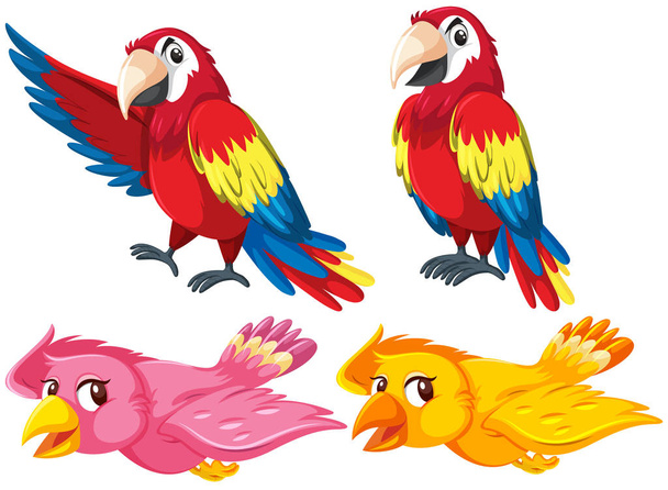 Set of different birds illustration - Vector, Image