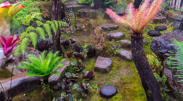 Panorama stone and green moss decoration in japanese cozy home flower garden after rain. - Photo, Image