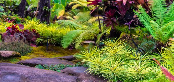 Panorama piedra y musgo verde decoración en japonés acogedor jardín de flores caseras después de la lluvia
. - Foto, Imagen