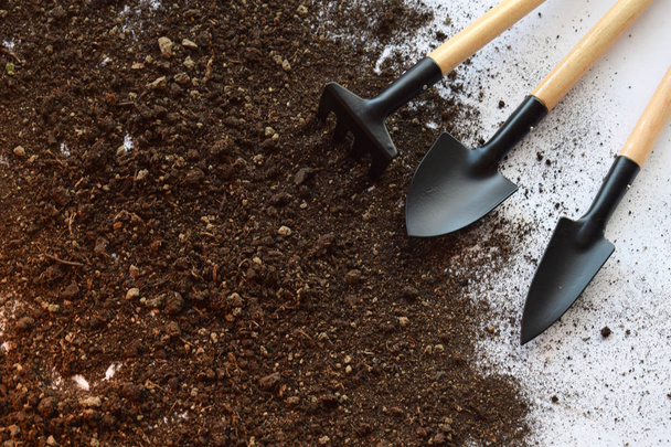 Gardening equipment. Seeding or planting a plant on soil background. Natural background for advertisements - Φωτογραφία, εικόνα