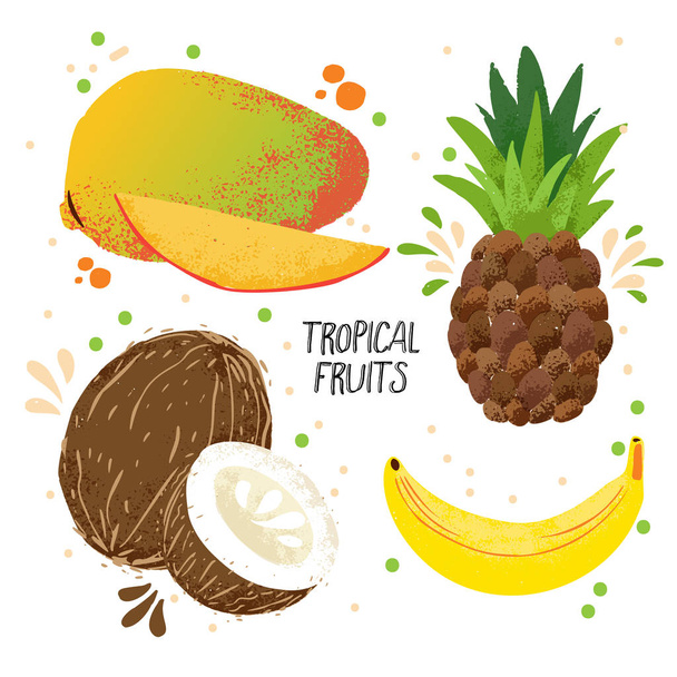 Hand draw vector set of tropical fruits - mango, banana, pineapple and coconut isolated on white background. Tropical fruits collection with juice splashes. Ripe tropical fruits set, mangoes, coconuts - ベクター画像