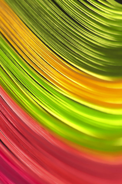 Abstract bright wavy lines on a black background. Saturated colorful background. - Foto, afbeelding