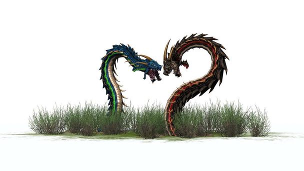 Minhocas dragão na grama - isolado no fundo branco
 - Foto, Imagem
