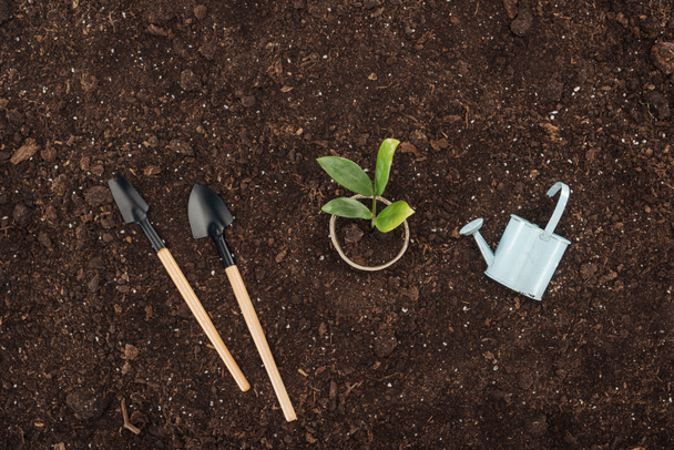top view of pot with small plant near toy watering can and shovels , protecting nature concept  - Fotó, kép