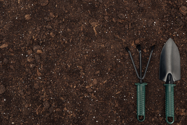 top view of shovel and rake on ground, protecting nature concept  - Photo, Image