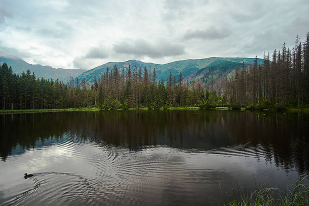 Post-glacial lake Smreczynski Pond in spring in the mountains of the Tatra Mountains in Poland - Photo, Image