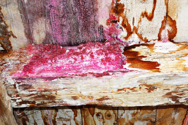 humidité sur la vieille structure de la maison avec moisissure fongique sur le bois
 - Photo, image
