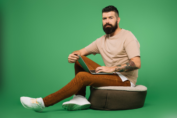confident bearded man using laptop isolated on green - Foto, imagen
