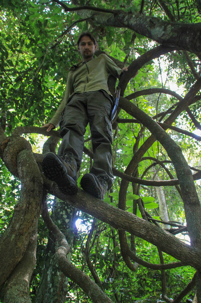 Joven blanco caucásico viajero masculino en ropa deportiva trepó a un árbol tropical con vides en la selva
 - Foto, Imagen