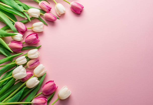 White and pink tulips on lightpink background. Top view. - Foto, Bild