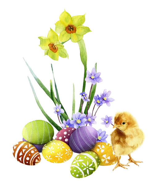 Renkli bir şekilde dekore edilmiş Paskalya yumurta, şirin kabarık tavuk ve ışık mavi çiçek ve nergis beyaz bir arka plan üzerinde izole suluboya çizilmiş arka plan elinde harika Paskalya düzenleme. - Fotoğraf, Görsel