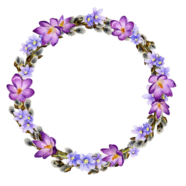 Tender spring willow wreath with primrose light blue flowers and crocuses hand drawn in watercolor isolated on a white background. - Photo, Image