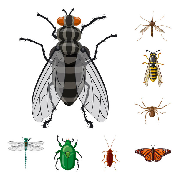 Böcek ve sinek işareti vektör tasarımı. Böcek ve öğe hisse senedi vektör çizim seti. - Vektör, Görsel