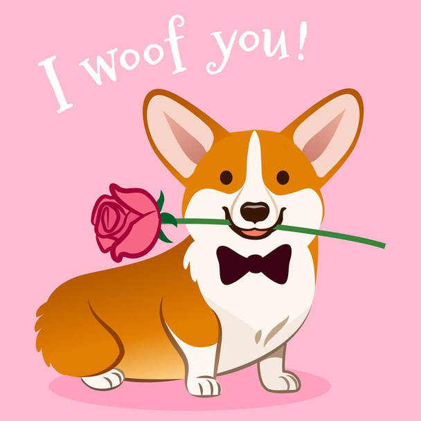 Corgi pes s růžovou květinou v ústech Valentýna kartu vektor kreslené. Mamina co bych píchal sedící štěně corgi na růžovém pozadí. Funny humorné láska, zvířata, zvířata, Valentýna téma designový prvek. - Vektor, obrázek