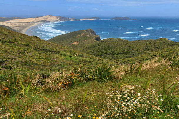 Looking out towards Cape Maria van Diemen from Cape Reinga in the far north of New Zealand. The Tasman Sea washes ashore on the sands of Te Werahi Beach. In the foreground, wildflowers and flax bushes grow amid the coastal grasses - 写真・画像