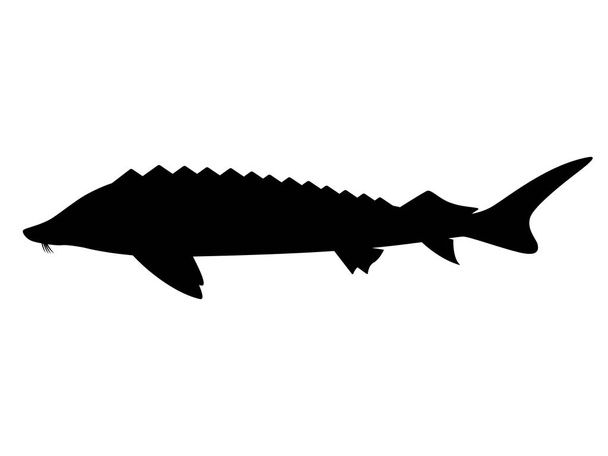 Black silhouette of sturgeon. Fish logo icon - Vettoriali, immagini