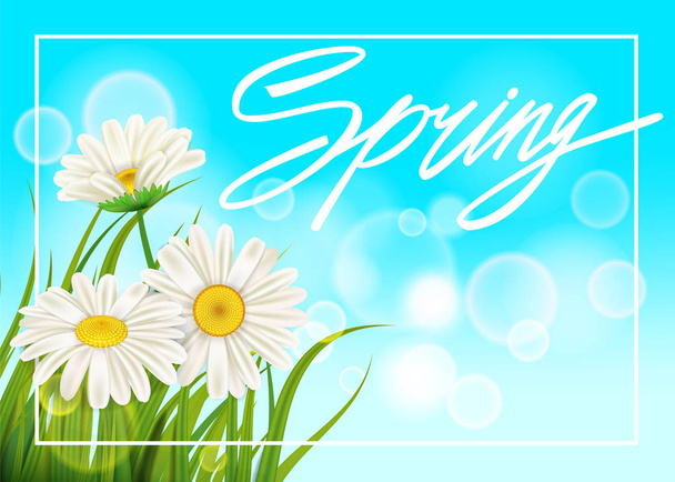 Tavaszi margarétás háttér friss, zöld fű, kellemes, lédús tavaszi színekben. Tavaszi kézírás betűkkel. Vektor, template, illusztráció, elszigetelt - Vektor, kép