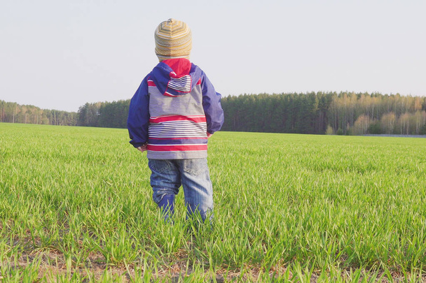 one year old boy farmer standing in the field with young wheat - Zdjęcie, obraz