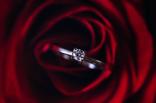 Красная роза и золотое кольцо с бриллиантом
 - Фото, изображение