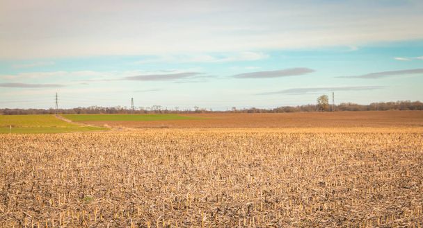 подання поля на рівнинах Ельзас у Франції в зимовий період - Фото, зображення