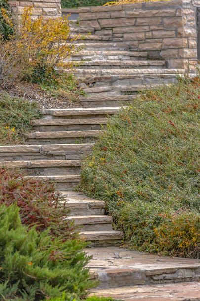 Giardino con scale in pietra attraverso il verde misto
 - Foto, immagini