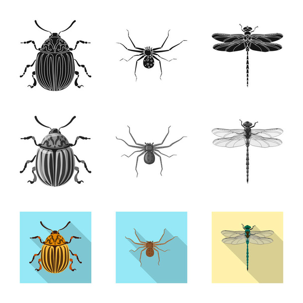 Vector design of insect and fly sign. Collection of insect and element vector icon for stock. - Wektor, obraz