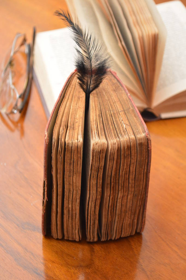 penas pretas nos livros antigos sobre madeira de mesa
 - Foto, Imagem