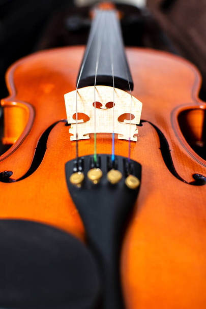 Old oak wood violin. Image in vintage tone. - Foto, imagen
