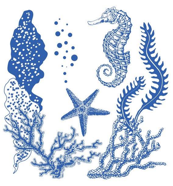 Recife de coral gráfico com cavalo-marinho, estrela do mar, estrela do mar, algas marinhas, corais, sob tema do mar, conjunto de elementos para design marinho, coleção do mar, ilustração desenhada à mão sobre branco
 - Vetor, Imagem