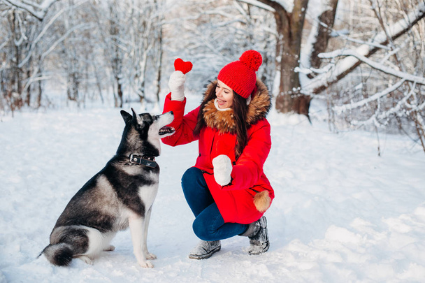 Νεαρή κοπέλα με το γεροδεμένο σκύλο στο χειμερινό πάρκο. Εγχώρια κατοικίδιο. Χάσκι - Φωτογραφία, εικόνα