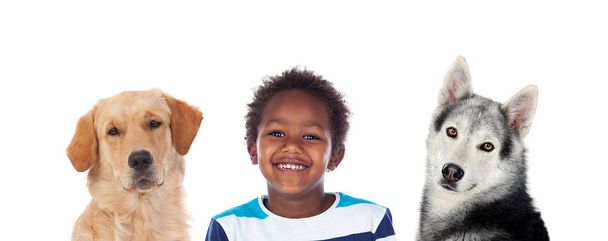 Portrait de deux chiens avec un enfant drôle isolé sur un fond blanc
 - Photo, image