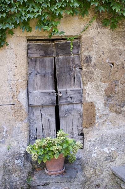 Παλιά στεγνή πόρτα σε πέτρινο τοίχο με πράσινα φυτά  - Φωτογραφία, εικόνα
